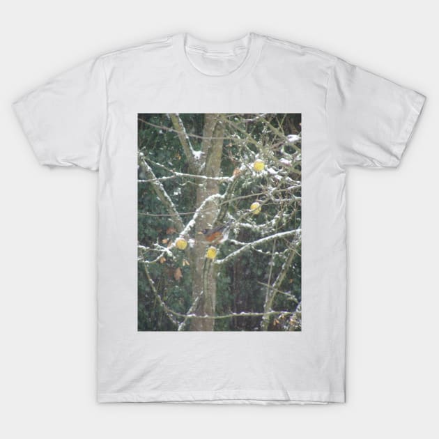 bird in a winter tree T-Shirt by DlmtleArt